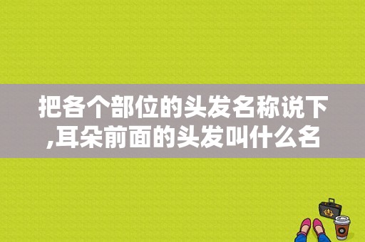 把各个部位的头发名称说下,耳朵前面的头发叫什么名字