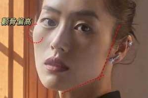 颧骨突出适合什么眉毛（颧骨高的女人适合什么眉毛）