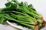 头发脱落吃什么好（头发脱落吃什么好?）
