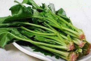 头发脱落吃什么好（头发脱落吃什么好?）