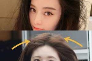 为什么明星头发那么多（为什么明星头发那么多呢）