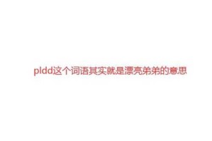 pldd什么意思网络用语（pld是啥意思饭圈）