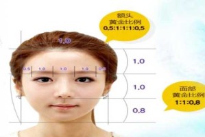 发髻线是什么（发际线在什么位置）