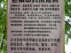皂角洗发水去屑效果怎么样,皂角洗头有什么好处和坏处