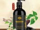 有白发用什么洗发水（专门治白发的洗发水）