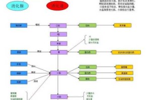 什么中分（什么中分泌的唾液能初步消化食物中的淀粉）