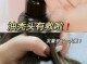 头发越洗越油怎么办（头发越洗越油怎么办小妙招）