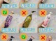 不洗头去油的快速方法,怎么控油简单方法视频
