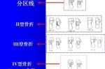 骨什么型（骨型什么意思）