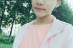 希高迪犬的特点,高迪发型叫什么 短发