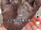 染发剂沾手上了怎么洗掉呢,染发剂弄到手上怎么搞