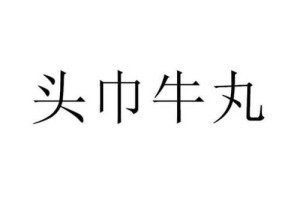 头巾是什么（头巾牛丸是什么）