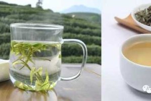 白茶水洗脸有什么好处（白茶水洗脸有什么好处和坏处）