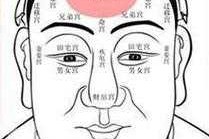什么的额头（什么的额头）