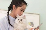 欧阳娜娜的发型怎么扎（欧阳娜娜的发型怎么扎好看）