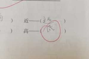 什么高什么矮（什么高什么矮写一句话）