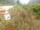 打了除草剂的草在枯萎了,上面还有毒吗,草毒怎么清洗