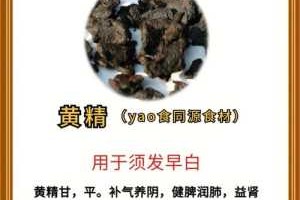 吃什么长头发防止掉发（吃什么长头发防止掉发最有效）