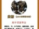 吃什么长头发防止掉发（吃什么长头发防止掉发最有效）
