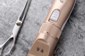 弄头发的工具都叫什么（弄头发的工具都叫什么名称）