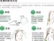 护发素怎么用效果好,怎么用护发素才是正确的
