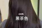 黑褐流行色是什么颜色,黑褐色头发是什么颜色的图片