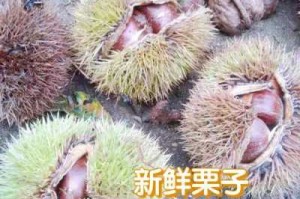 板栗是什么样子的图片（板栗是什么样子的图片大全）