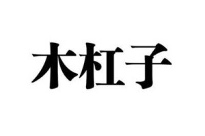 杠子是什么意思？兄弟的意思么,杠子是什么意思
