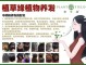 中药养发效果怎么样（中药养发效果怎么样啊）