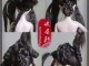 旗头头发怎么梳图解（旗头头发怎么梳图解视频）