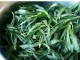 菇扎头怎么做好吃（菇扎头怎么做好吃又简单）