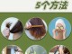 怎么修复头发（受损的头发能修复好吗）