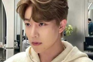 蓬松头发适合什么发型（蓬松头发适合什么发型男）