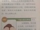 脱发怎么按摩（脱发怎么按摩）