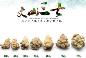 三七头怎么分（如何区分三七多少个头）