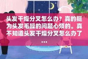 头发分叉干枯毛躁补救的方法,头发毛躁分叉怎么办图片