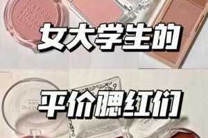 什么腮红比较好用（什么腮红比较好用又便宜）