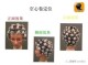 冷烫全过程的步骤,冷烫怎么吹头发