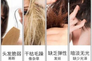 发质干枯毛躁怎么护理（发质毛躁干枯怎么处理）