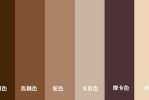 什么颜色加什么颜色等于棕色,什么什么棕色