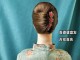 婚礼婆婆发型怎么弄（婚礼婆婆的发型）