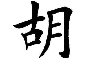 胡字怎么写漂亮,