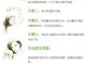 护发素的六大妙用你知道几个,护发素作用是什么原理