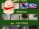 头发有什么用（头发有什么用处）