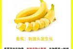 吃什么水果可以生发（吃什么水果可以生发让头发浓密）