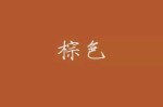 棕褐色是什么颜色（棕褐色是什么颜色）