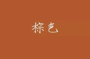 棕褐色是什么颜色（棕褐色是什么颜色）