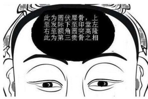 眉心骨是人的吗,额骨是什么骨类型