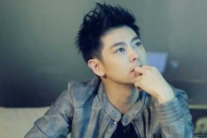 林志颖五官分析,林志颖是什么脸型的人