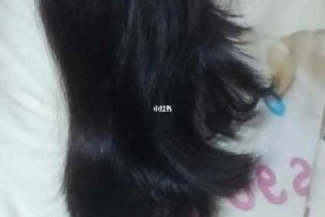 头发老是会翘起来怎么办,头发老往外翘怎么办啊